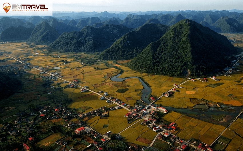 Dong Cao Prairie