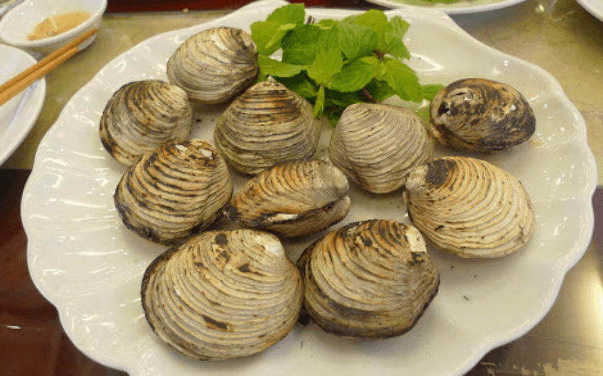 Ngan clam of Quang Ninh