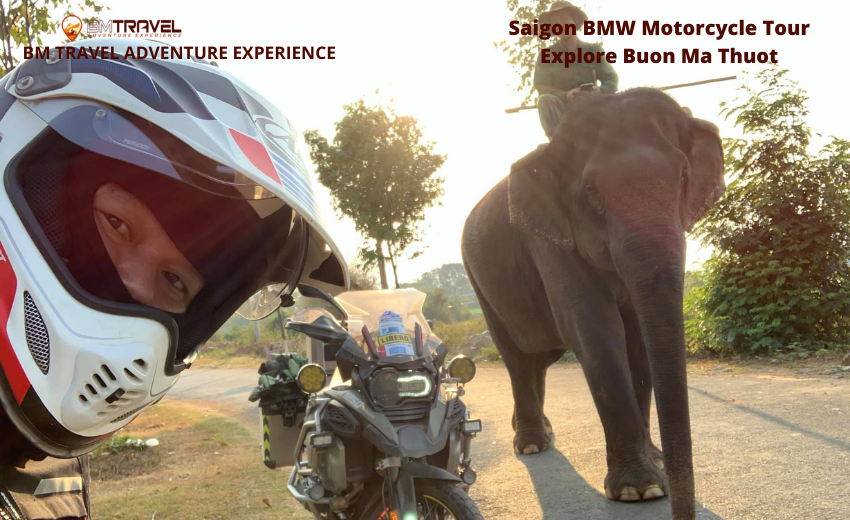 Saigon Luxury Motorcycle Tours