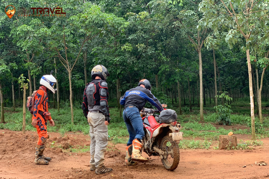 Vietnam Motorbike Tour