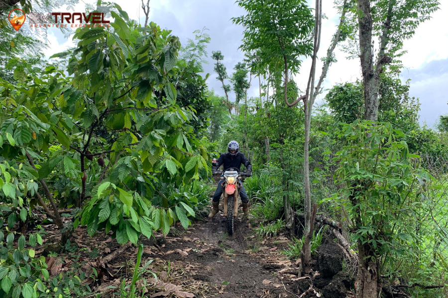 southern enduro Vietnam Motorbike Tours