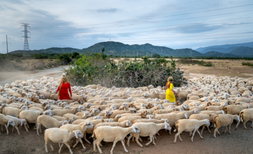 Phan Thiet Motorbike Tours