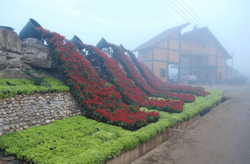 Bac Ha Market Sapa - The Most Colorful Market in North Vietnam 3