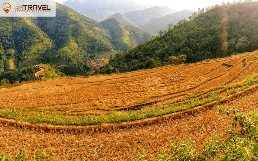 Phung village- Tay Con Linh- Xin Man