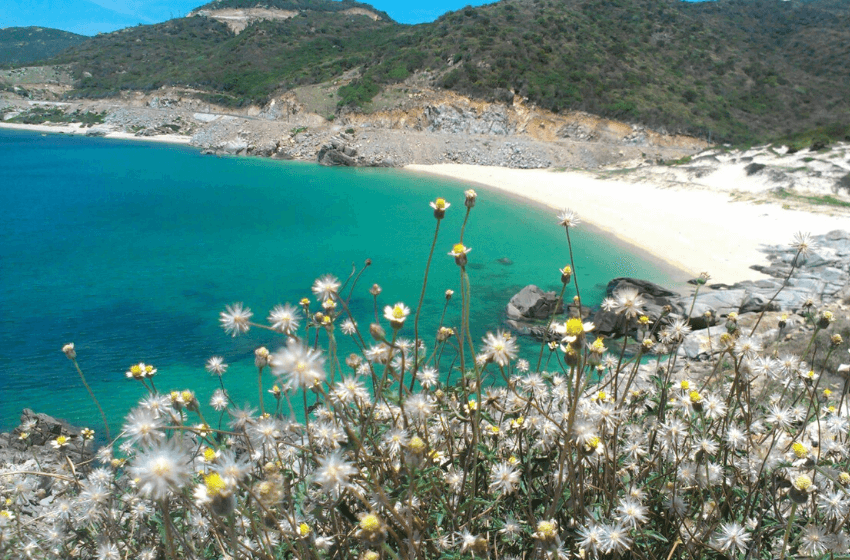 Motorcycle Road Trip To Hai Van Pass