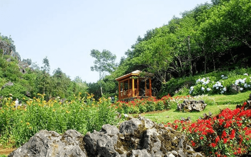 Ham Rong Mountain - Sapa