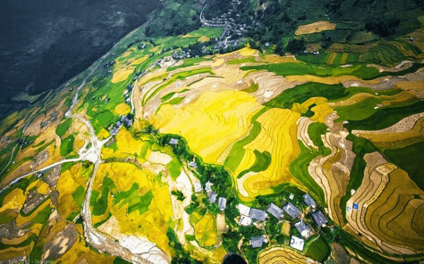 Muong Lo Valley (Muong Lo Field)