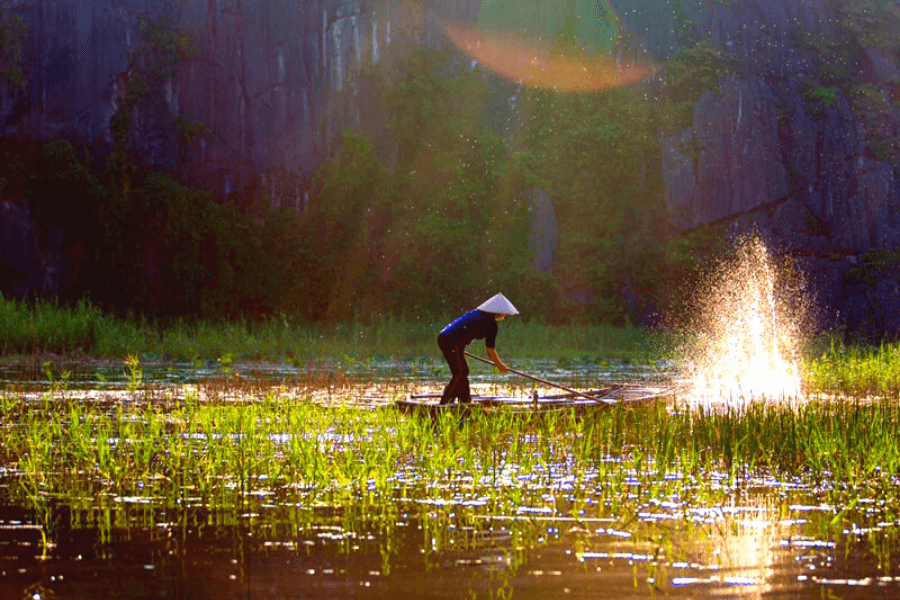 Van Long Swamp  