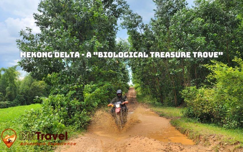 Riding Motorbike in Mekong Delta