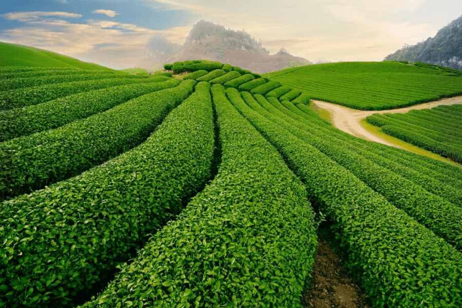 Son La - Mai Chau - Hoa Binh