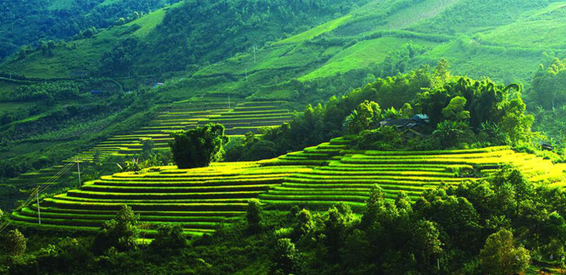 Answer: The best time to join Mai Chau valley tour HOT 2024