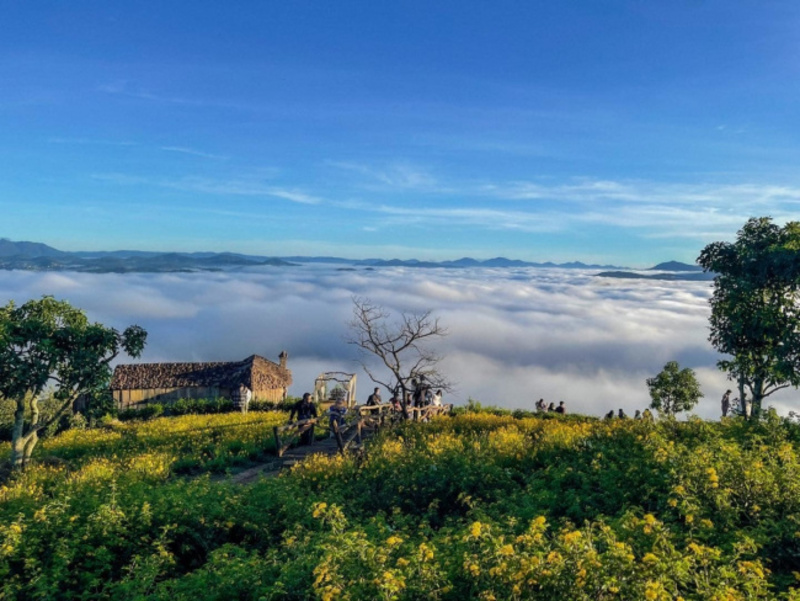 Top 8 Most Beautiful Locations in Da Lat Cloud Hunting That You Cannot Miss