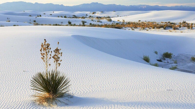 white sand dunes