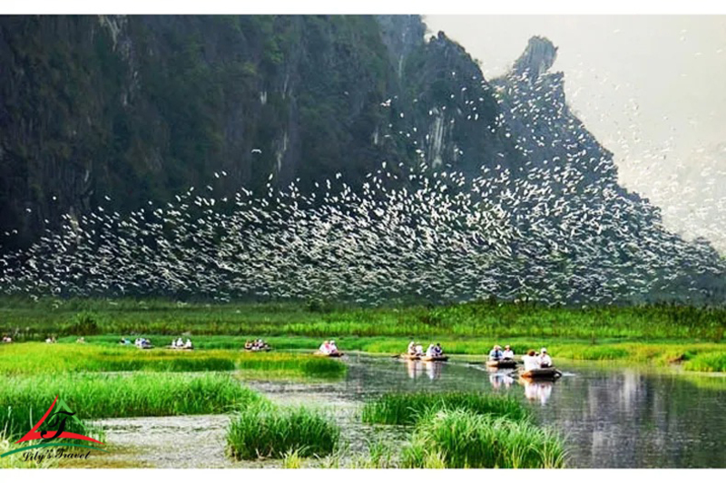 thung nham bird garden