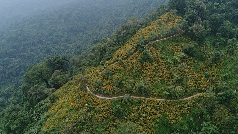 ba vi national park