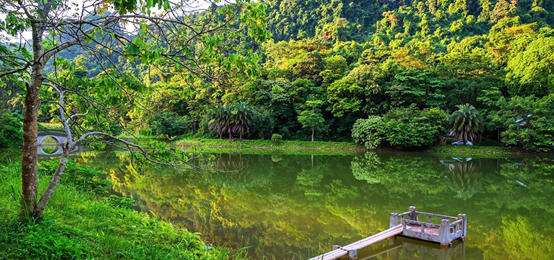 cuc phuong national park