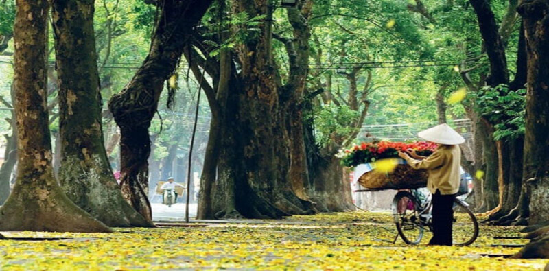 hanoi tourism