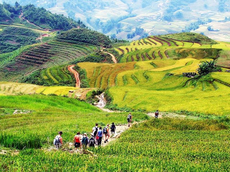 hoang lien son national park