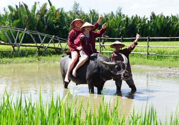 Travel Vietnam In October 2025: Weather and hot spots