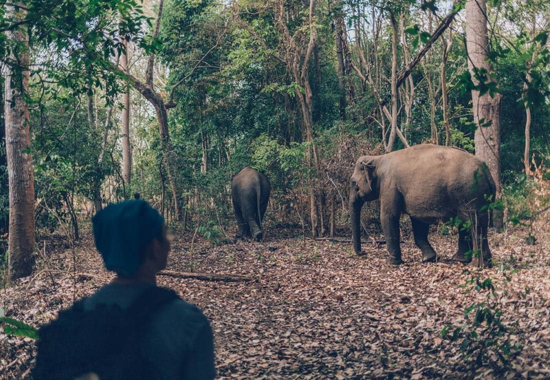 yok don national park