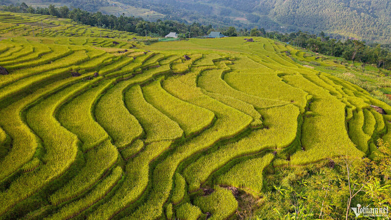 pu luong field thanh hoa