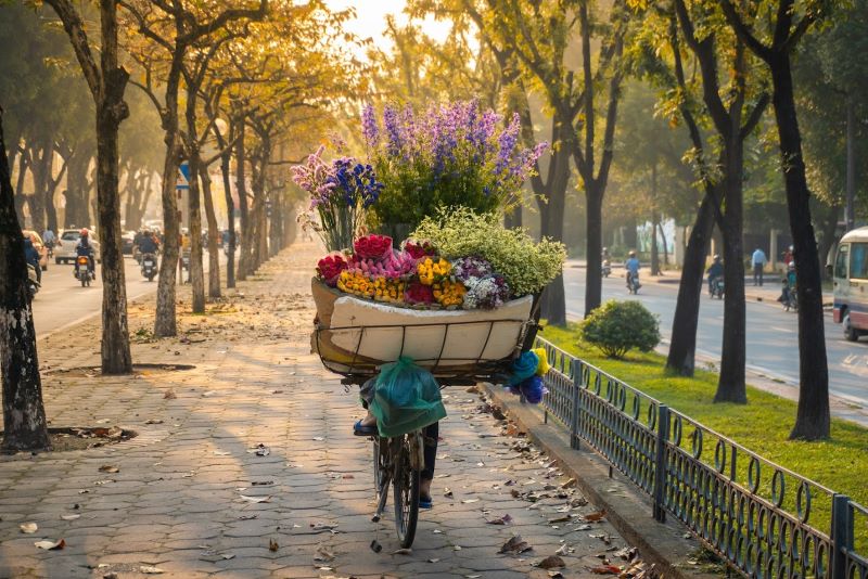 autumn-in-hanoi-1