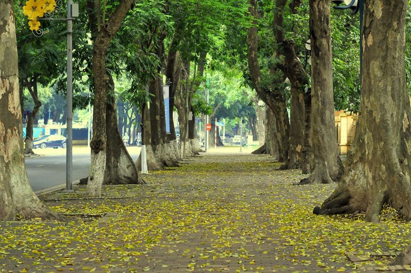 autumn-in-hanoi-3