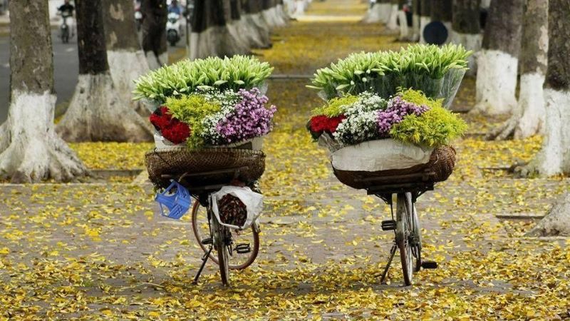 autumn-in-hanoi-5