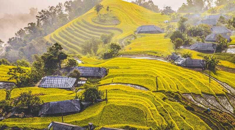 hoang su phi terraced fields