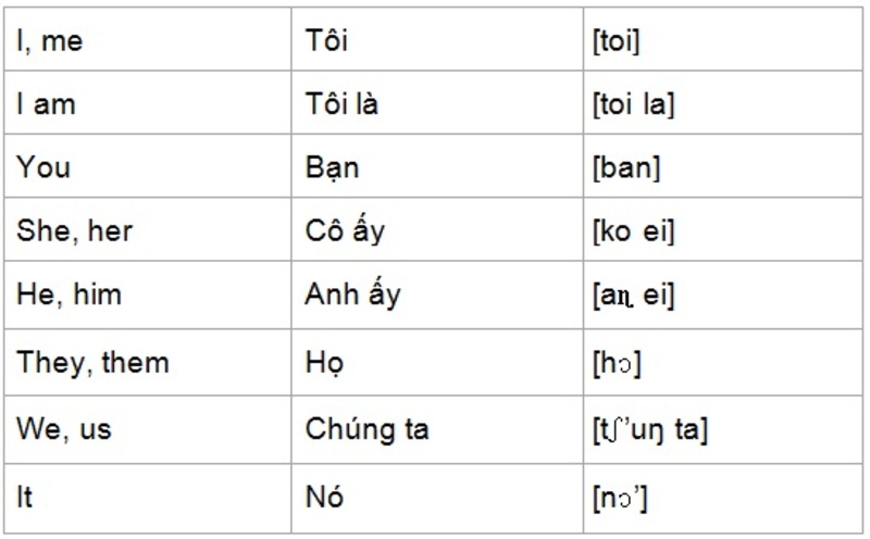 learn some basic vietnamese communication sentences