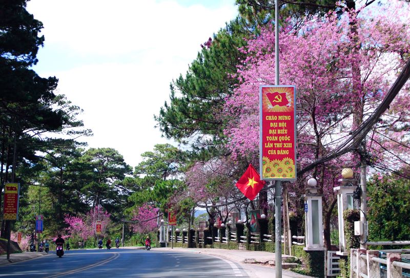 da-lat-viet-nam-2