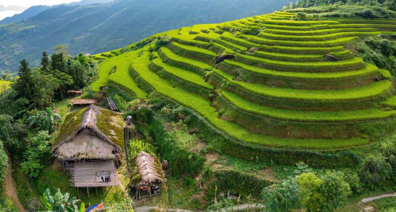 ha-giang-terraced-fields-1