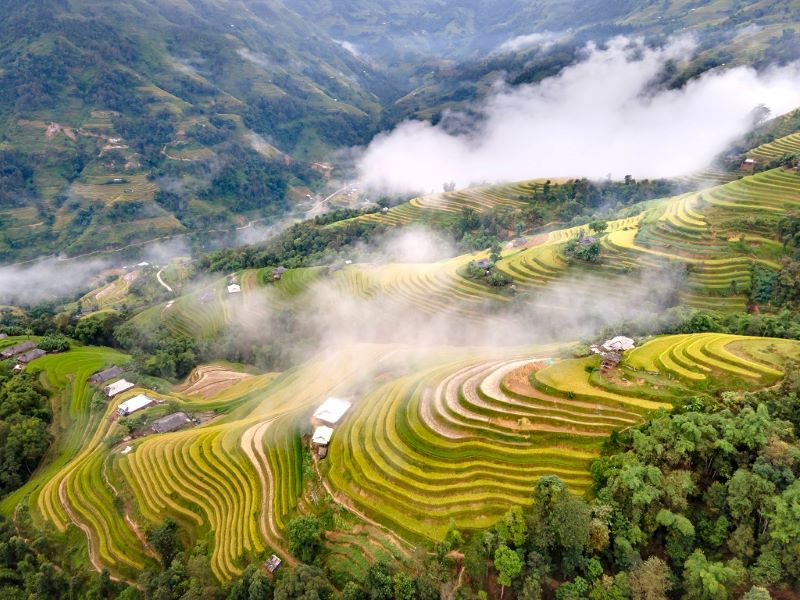 ha-giang-terraced-fields-3