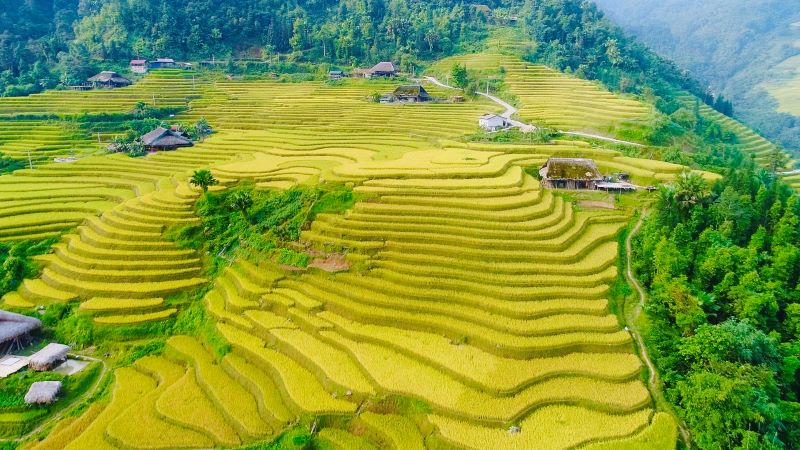 ha-giang-terraced-fields-4