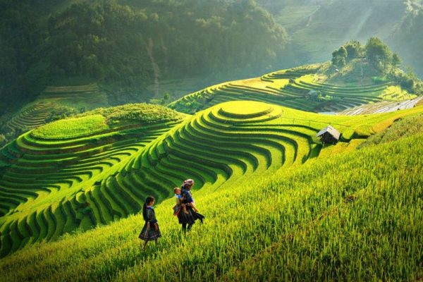 Ha Giang terraced fields – Artistic masterpiece of workers