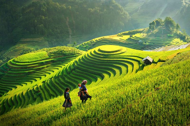 ha-giang-terraced-fields-5