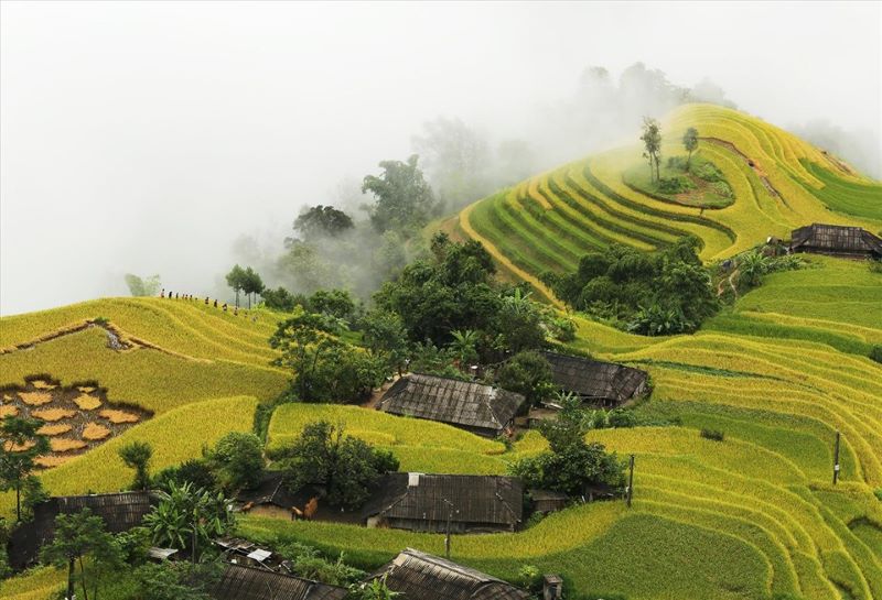 ha-giang-terraced-fields-7