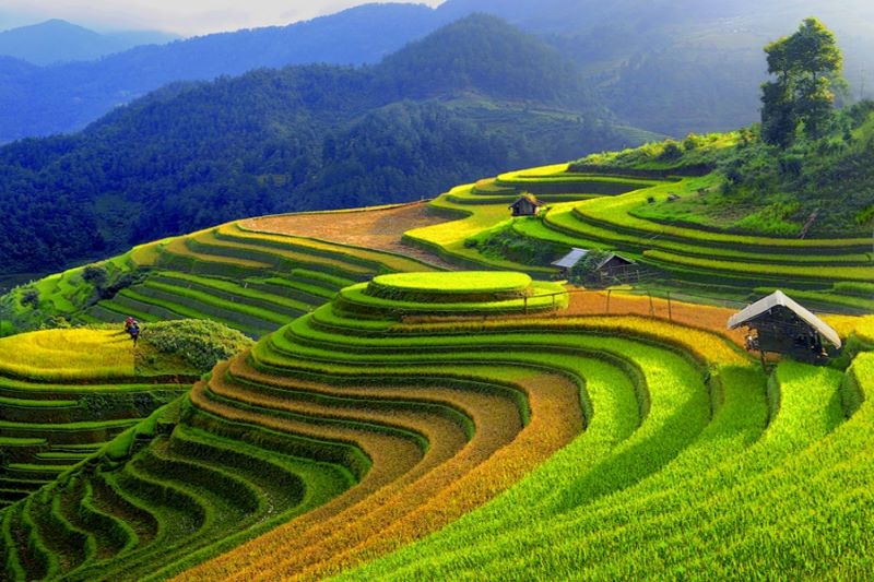 ha-giang-terraced-fields-8