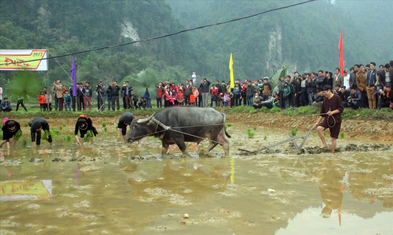 ha-giang-tourism-on-tet-holiday-8