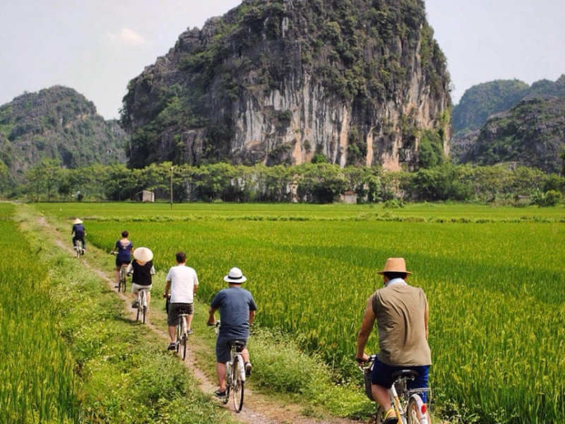 rice-fields-in-ninh-binh-10