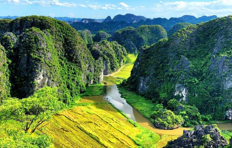 rice-fields-in-ninh-binh-2