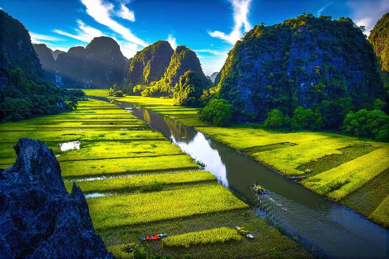 rice-fields-in-ninh-binh-4