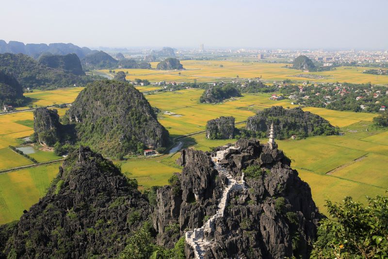 rice-fields-in-ninh-binh-5