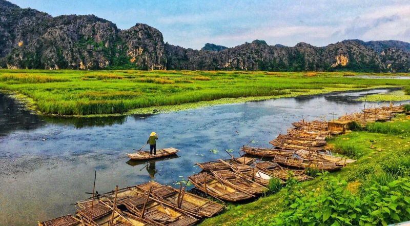 rice-fields-in-ninh-binh-8